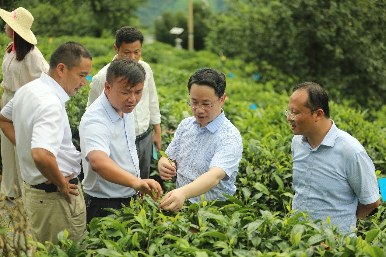 清华公管学院王亚华教授领衔创作案例获评2022示范“主题案例”成果